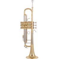 Bach : 180-25 L Bb-Trumpet