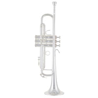 Bach : LR 180S-37G ML Trumpet