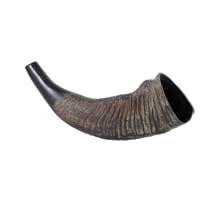 Thomann : Water Buffalo Horn