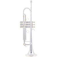 Yamaha : YTR-8335RGS 04 Trumpet