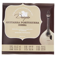 Dragao : Guitarra Portuguesa Coimbra