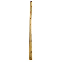 Thomann : Didgeridoo Eucalyp. Proline C