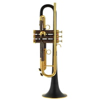 daCarbo : Toni Maier 139R Bb- Trumpet