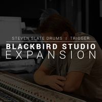 Slate Digital : Trigger Exp Blackbird Studio