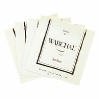 Warchal : Amber Violin 4/4 LP