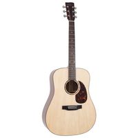 Recording King : RD-G6 Solid Top Dreadnought