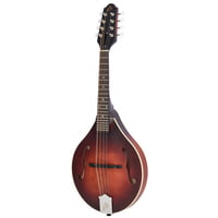 The Loar : LM-110-BRB