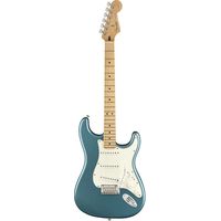 Fender : Player Series Strat MN TPL