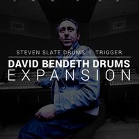 Slate Digital : SSD5 Exp David Bendeth