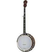 Gold Tone : BG-150F Banjo