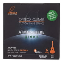 Ortega : ATG44NM Classical Strings