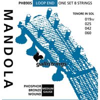 Galli Strings : PHB90S Mandola Strings Medium
