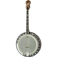 Gold Tone : IT-250-F Irish Tenor Banjo w/C