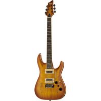 Schecter : C-1 Exotic Spalted Maple SNVB
