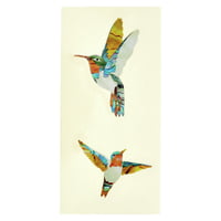 Jockomo : Dancing Hummingbirds