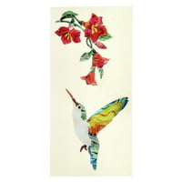Jockomo : Hummingbirds & Flowers