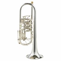 Gerd Dowids : BZ-Series C-Trumpet Special