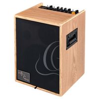 Ortega : CONE-ASH Acoustic Amp