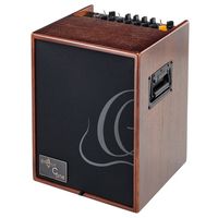 Ortega : CONE-WND Acoustic Amp