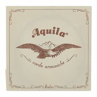 Aquila : 100D Wound Nylgut Lute String