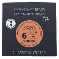 Ortega : NYP44N Classical Strings