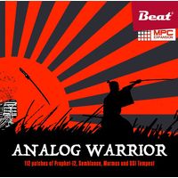 Beat Magazin : Analog Warrior