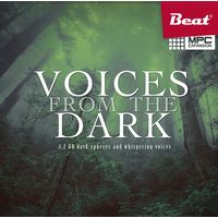 Beat Magazin : Voices from the Dark