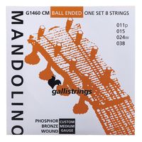 Galli Strings : G1460 CM Mandolin Str. Medium