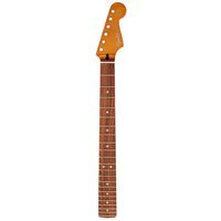 Fender : Player Plus Strat Neck PF