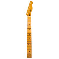 Fender : Player Plus Tele Neck MN