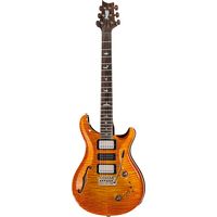 PRS (Paul Reed Smith) : Special 22 SH Private Stock CG