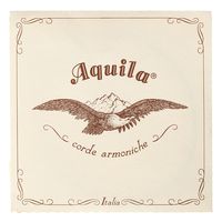 Aquila : 160D Wound Nylgut Lute String