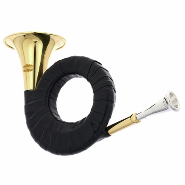 Hunting Horn - Instrument FRENCH HORN - Buy online 