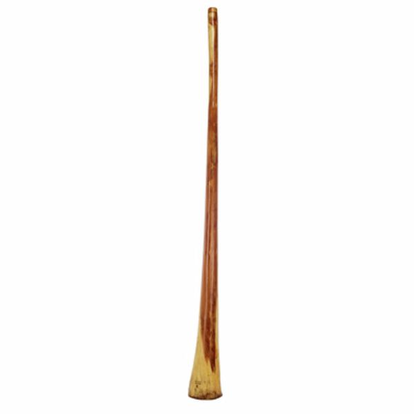 Thomann : Didgeridoo Eucalyp. Proline E