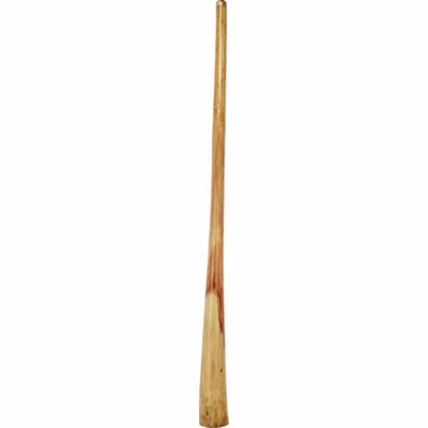 Thomann : Didgeridoo Eucalyp. Proline D